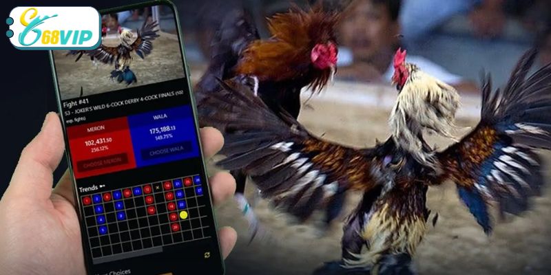 Chi tiết hướng dẫn luật chơi và những hình thức cược